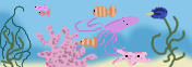 Fish2Fish